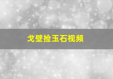 戈壁捡玉石视频