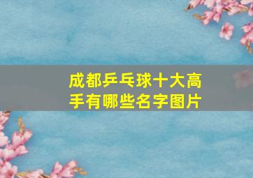 成都乒乓球十大高手有哪些名字图片