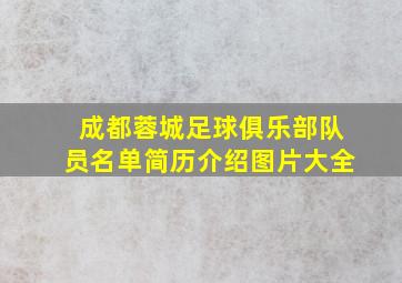 成都蓉城足球俱乐部队员名单简历介绍图片大全