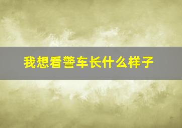 我想看警车长什么样子