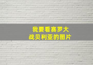 我要看赛罗大战贝利亚的图片