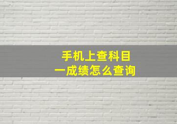 手机上查科目一成绩怎么查询