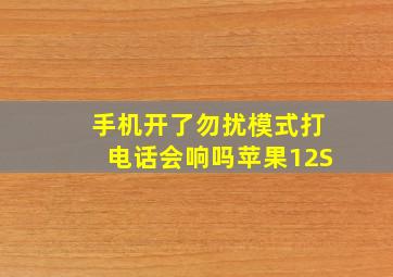 手机开了勿扰模式打电话会响吗苹果12S