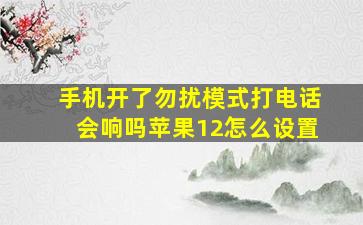 手机开了勿扰模式打电话会响吗苹果12怎么设置