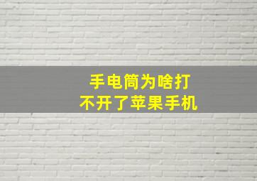 手电筒为啥打不开了苹果手机