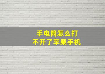 手电筒怎么打不开了苹果手机