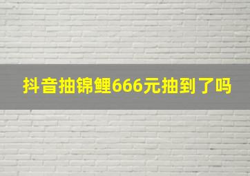 抖音抽锦鲤666元抽到了吗