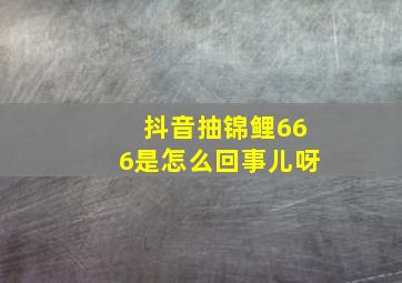 抖音抽锦鲤666是怎么回事儿呀