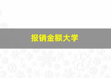 报销金额大学