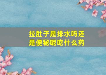 拉肚子是排水吗还是便秘呢吃什么药