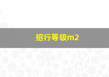 招行等级m2