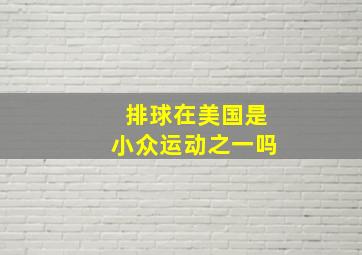 排球在美国是小众运动之一吗