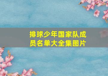 排球少年国家队成员名单大全集图片