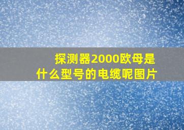 探测器2000欧母是什么型号的电缆呢图片