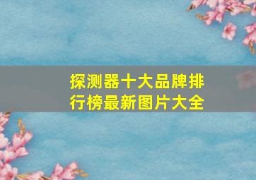 探测器十大品牌排行榜最新图片大全