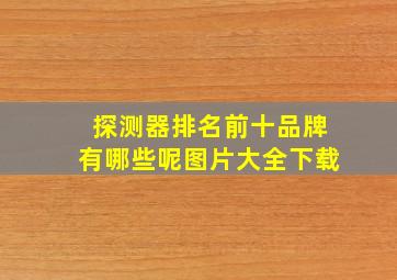 探测器排名前十品牌有哪些呢图片大全下载