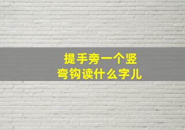 提手旁一个竖弯钩读什么字儿