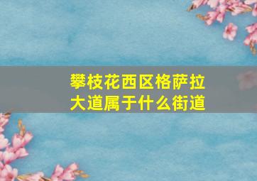 攀枝花西区格萨拉大道属于什么街道