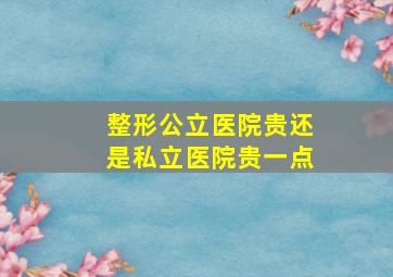 整形公立医院贵还是私立医院贵一点