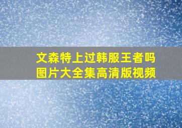 文森特上过韩服王者吗图片大全集高清版视频