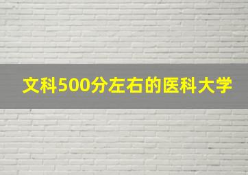 文科500分左右的医科大学