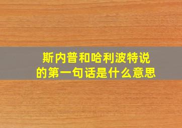 斯内普和哈利波特说的第一句话是什么意思