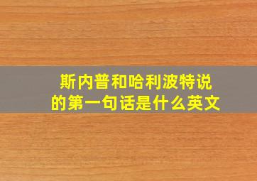 斯内普和哈利波特说的第一句话是什么英文