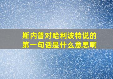 斯内普对哈利波特说的第一句话是什么意思啊