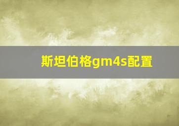 斯坦伯格gm4s配置