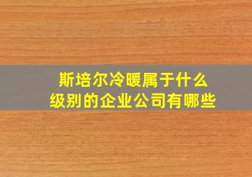 斯培尔冷暖属于什么级别的企业公司有哪些