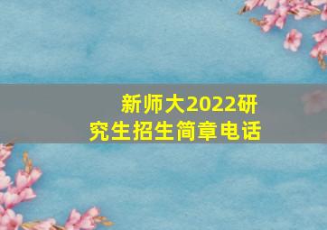 新师大2022研究生招生简章电话