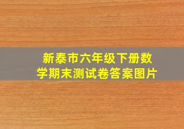 新泰市六年级下册数学期末测试卷答案图片