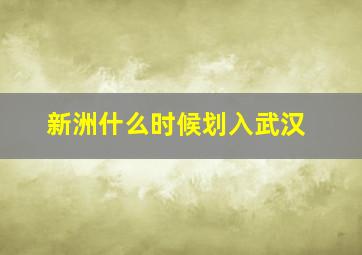 新洲什么时候划入武汉