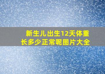 新生儿出生12天体重长多少正常呢图片大全