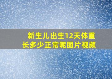 新生儿出生12天体重长多少正常呢图片视频