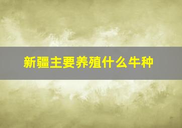 新疆主要养殖什么牛种