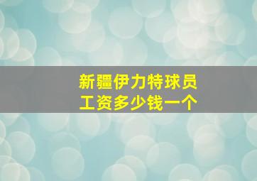 新疆伊力特球员工资多少钱一个