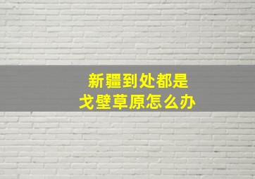 新疆到处都是戈壁草原怎么办