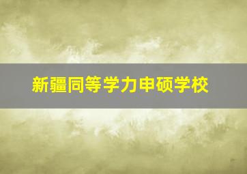 新疆同等学力申硕学校