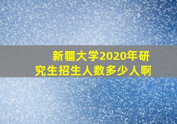 新疆大学2020年研究生招生人数多少人啊