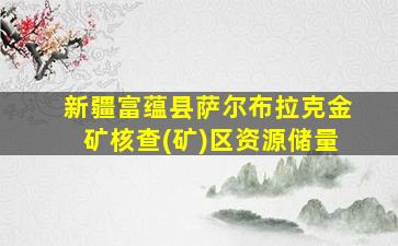 新疆富蕴县萨尔布拉克金矿核查(矿)区资源储量