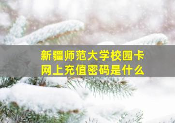 新疆师范大学校园卡网上充值密码是什么