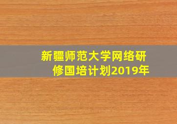 新疆师范大学网络研修国培计划2019年