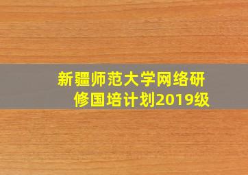 新疆师范大学网络研修国培计划2019级