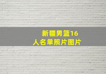 新疆男篮16人名单照片图片