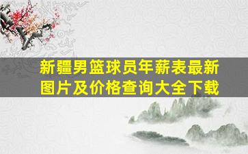 新疆男篮球员年薪表最新图片及价格查询大全下载