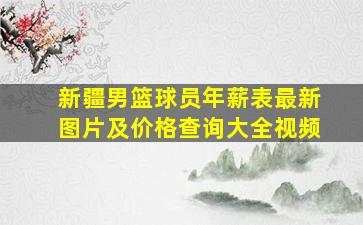 新疆男篮球员年薪表最新图片及价格查询大全视频