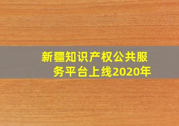 新疆知识产权公共服务平台上线2020年