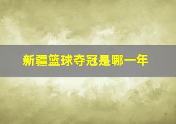 新疆篮球夺冠是哪一年