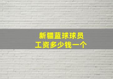 新疆蓝球球员工资多少钱一个